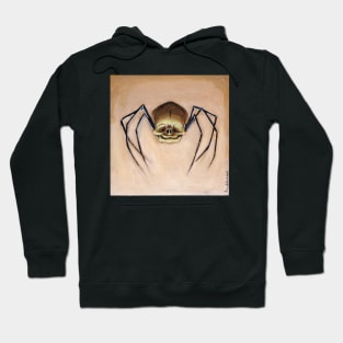 Spider Fetal Skull Hoodie